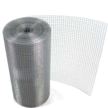 High tensile strength hot-dipped galvanized steel wire 1/2'' welded mesh roll for zoo mesh